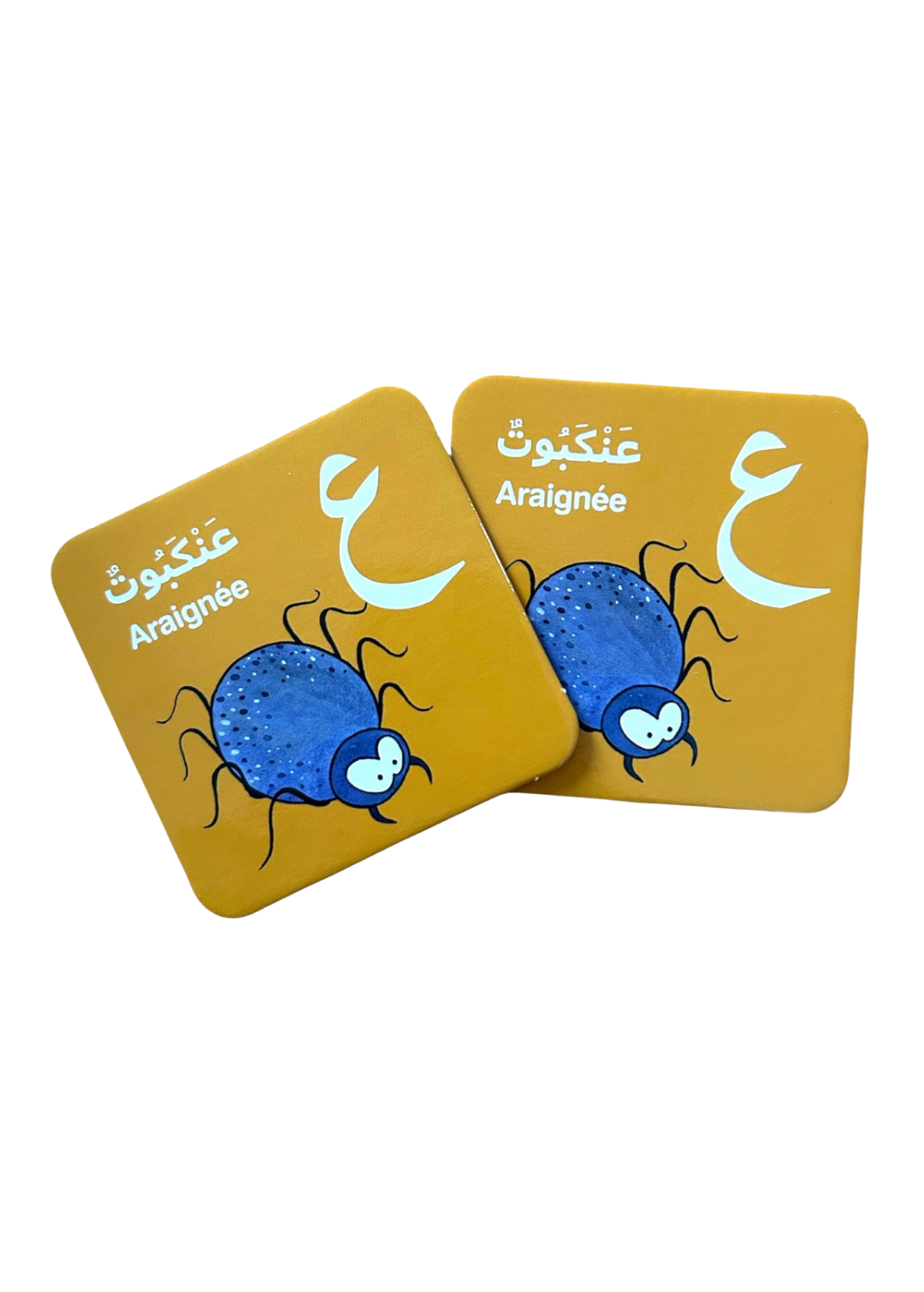 Gros plan sur 2 cartes araignées du jeu éducatif alphabet arabe pour enfants avec lettres en arabe, traduction française et phonétique, apprentissage ludique dès 3 ans